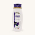 spuma-di-sciampagna-crema-corpo-orchidea
